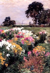 Un étalage de fleurs, 1903